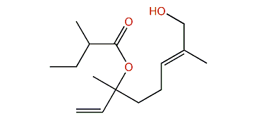 8-Hydroxylinalyl 2-methylbutyrate